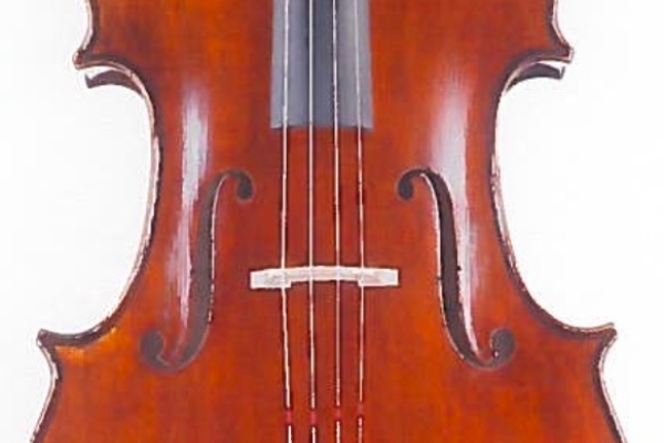instruments volés  violoncelle - dbStrings